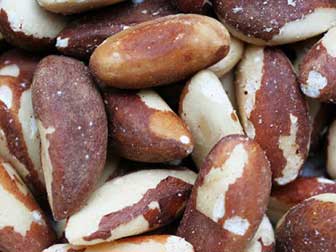 Download Brazil Nuts Benefits In Telugu Pics