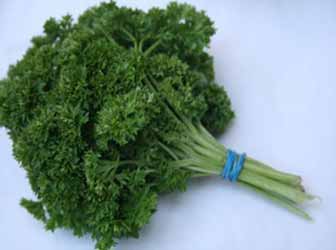 Nutritional Benefits Of Parsley Juice