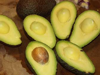 The Many Benefits of Avocado for Diabetes Treatment and ...