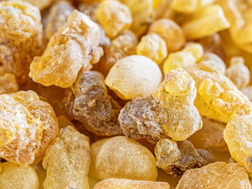 Indian frankincense gum resin 