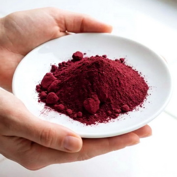 Holding-Beet-Juice-powder-in-white-bowl