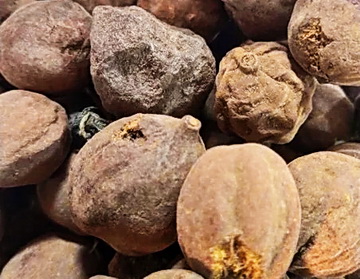 Vibhitaka herb dried